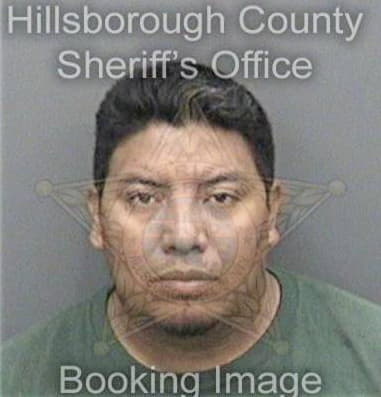 Francis Pineda, - Hillsborough County, FL 