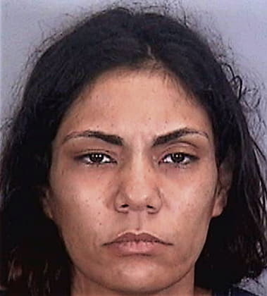 Leisa Spear, - Manatee County, FL 