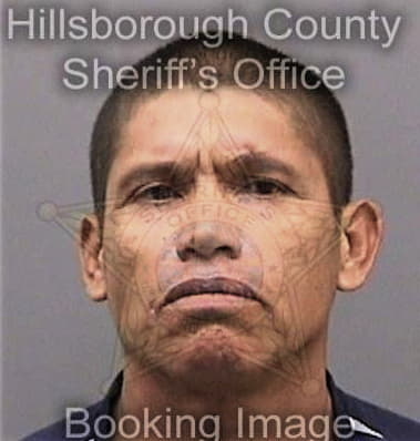 Dbenezer Colladoguzman - Hillsborough County, FL 