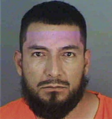 Julian Deltoro, - Collier County, FL 