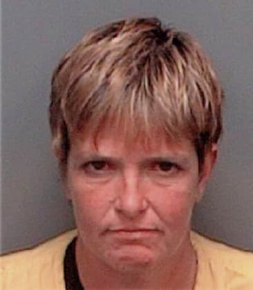 Vicki Ellis, - Pinellas County, FL 