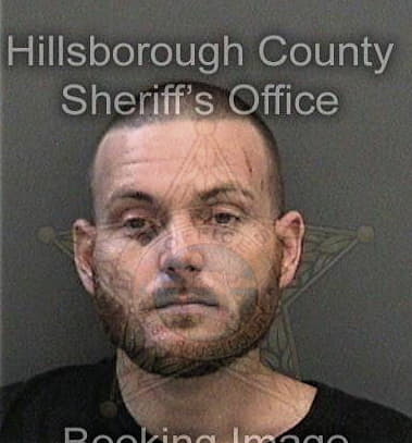 Bryan Figueroamorales, - Hillsborough County, FL 