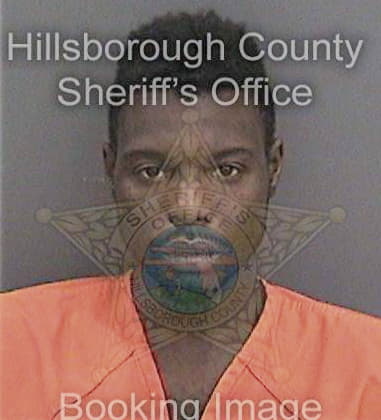 Brian Exsentico, - Hillsborough County, FL 