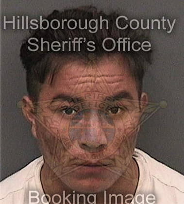 Dustin Glover, - Hillsborough County, FL 