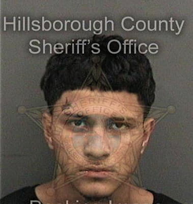 James Mitchell - Hillsborough County, FL 