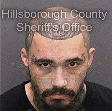 Carlos Morales, - Hillsborough County, FL 