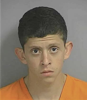 Erik Villalta, - Osceola County, FL 