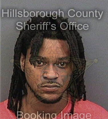 Vincent Williams, - Hillsborough County, FL 