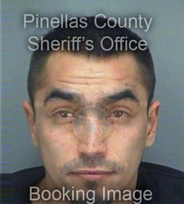 Jeremy Chaffin, - Pinellas County, FL 