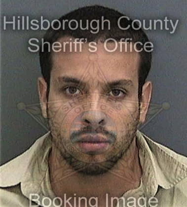 Hector Hernandez - Hillsborough County, FL 