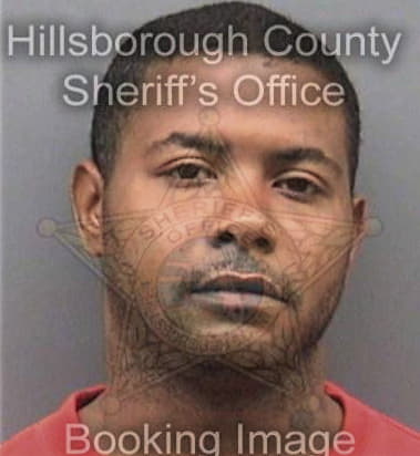 Travis Mayes - Hillsborough County, FL 