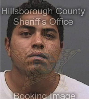 Anthony Price, - Hillsborough County, FL 