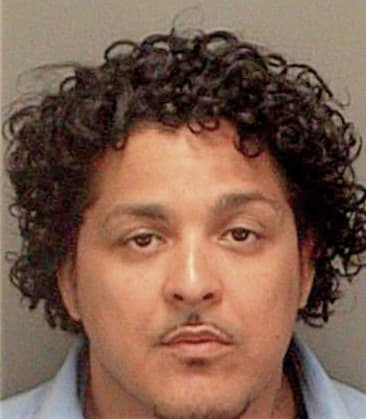 Ismael Espanagarcia, - Pinellas County, FL 