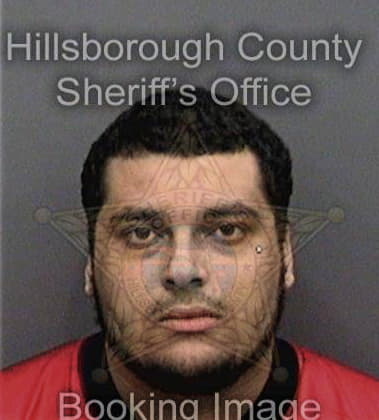 Franklin Martinezgarcia, - Hillsborough County, FL 