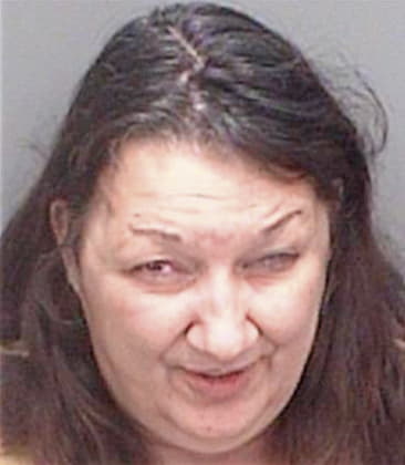 Teresa Mayes - Pinellas County, FL 