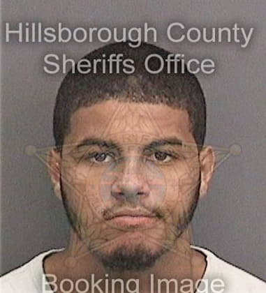 Glen McBride - Hillsborough County, FL 