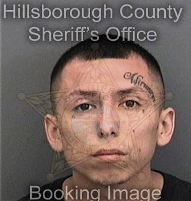 Julian Torres-Coello, - Hillsborough County, FL 