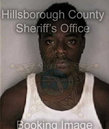 Bruce Williams - Hillsborough County, FL 
