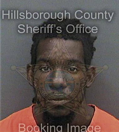 Laval Brown, - Hillsborough County, FL 