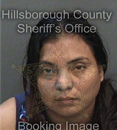 Kera Carroll, - Hillsborough County, FL 