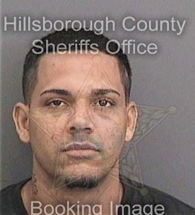 Jeffrey Colley - Hillsborough County, FL 