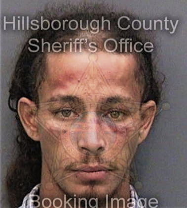 Virone Devine, - Hillsborough County, FL 