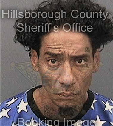 Daniel Ferrone, - Hillsborough County, FL 