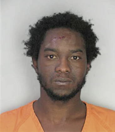 Dameon George, - Hillsborough County, FL 