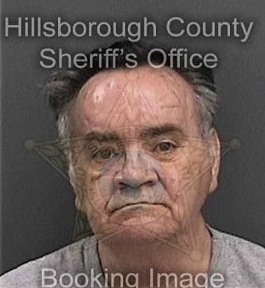 Tariq Hassan, - Hillsborough County, FL 