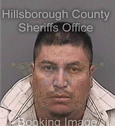 Donald Johnson, - Hillsborough County, FL 