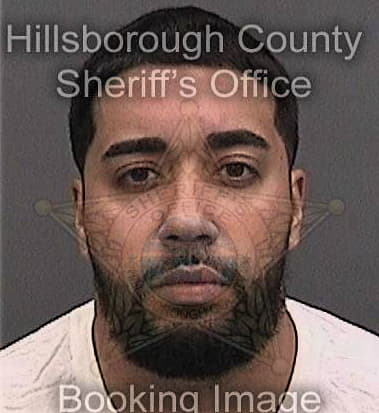 Anthony Laurito, - Hillsborough County, FL 