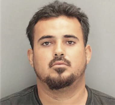 Roberto Llopis-Martell - Dade County, FL 
