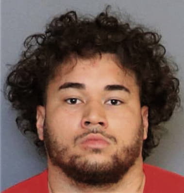 Emmanuel Mercado-Toro, - Osceola County, FL 