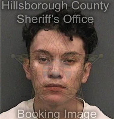 Brandon Pierce, - Hillsborough County, FL 