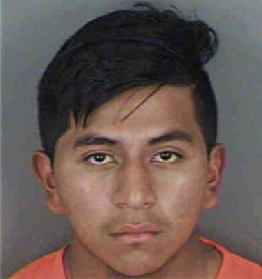 Allan Rivera-Martinez, - Collier County, FL 