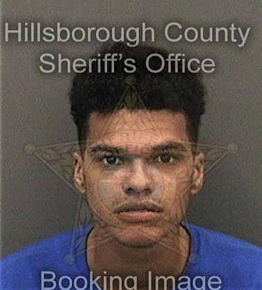 Lutrell Washington, - Hillsborough County, FL 