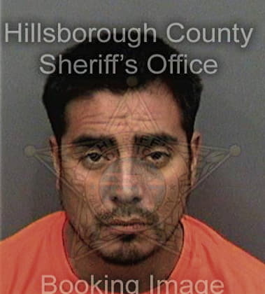 Jonathan Alvarezquiones, - Hillsborough County, FL 