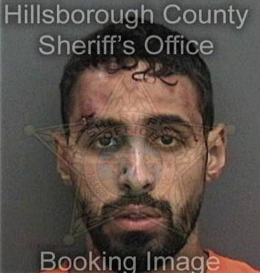 Michael Bryan, - Hillsborough County, FL 