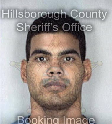 Martin Delvalle, - Hillsborough County, FL 