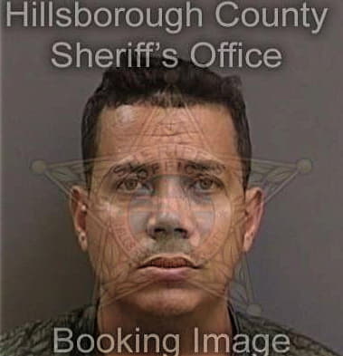 Moises Guadarramagarduno, - Hillsborough County, FL 