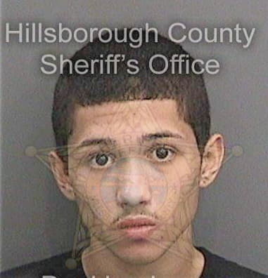 Christian Huarag, - Hillsborough County, FL 