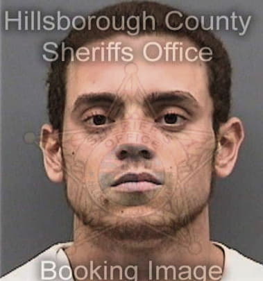 Joshua Lewandowski, - Hillsborough County, FL 