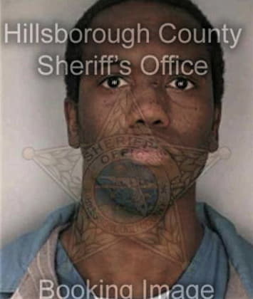 Nickolas Lloyd - Hillsborough County, FL 