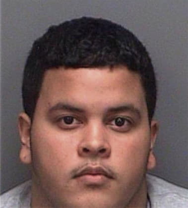 Nelson Martinezbustillo, - Pinellas County, FL 