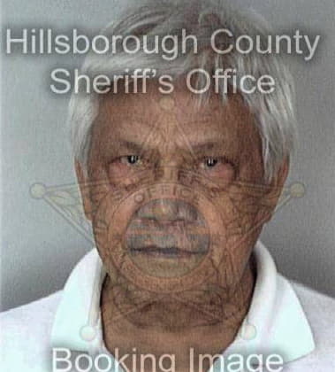 Ghulam Syed, - Hillsborough County, FL 