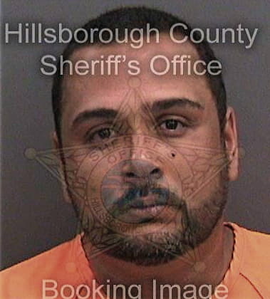 Michael Thran, - Hillsborough County, FL 