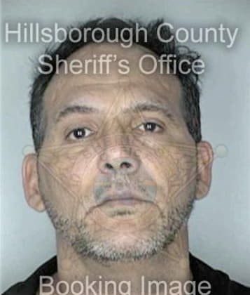 Alejandro Alcoseraltmirano, - Hillsborough County, FL 