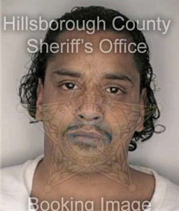 Lorenzo Mathis - Hillsborough County, FL 