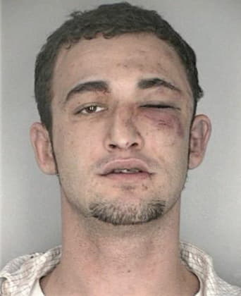 Robert Mellor - Hillsborough County, FL 