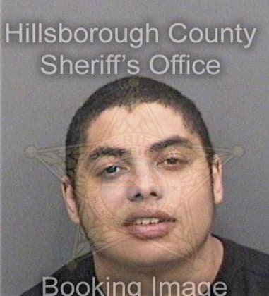 Cesar Ortiz, - Hillsborough County, FL 